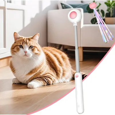Pawzy Jouet à plumes rétractable pour chat
