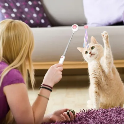 Pawzy Jouet à plumes rétractable pour chat