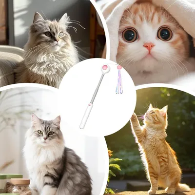 Pawzy Jouet à plumes rétractable pour chat