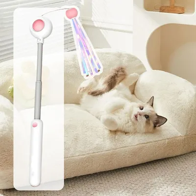 Pawzy Jouet à plumes rétractable pour chat