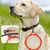 Pawzy Bol pliable pour chien