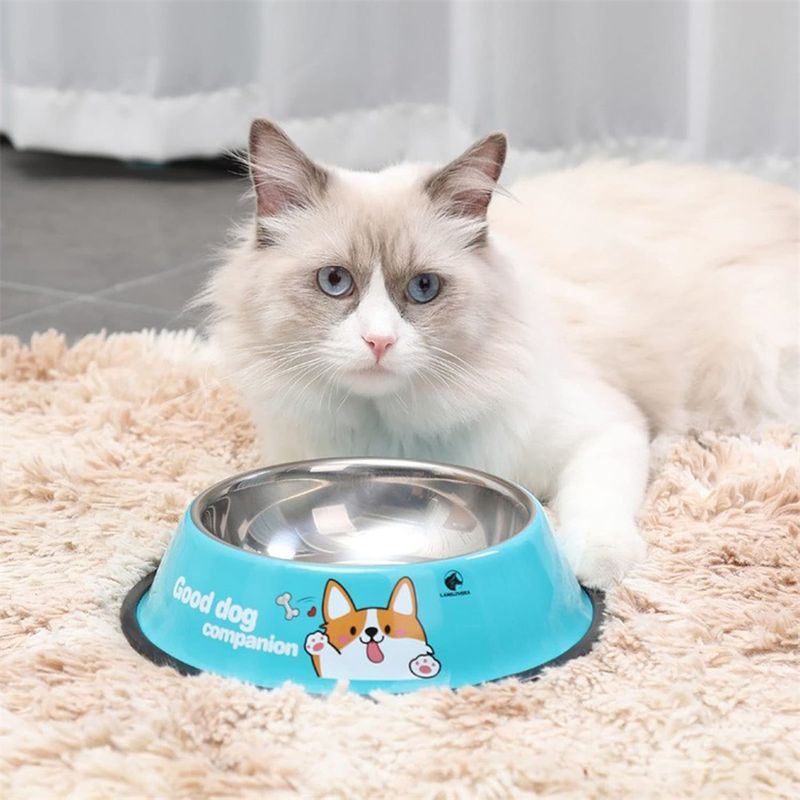 Pawzy Bol en acier inoxydable bleu pour chien