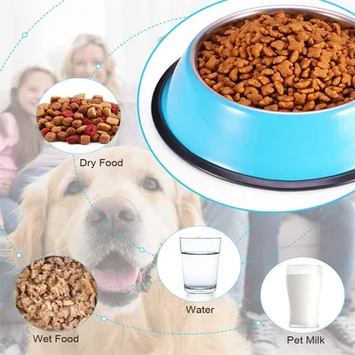 Pawzy Bol en acier inoxydable bleu pour chien