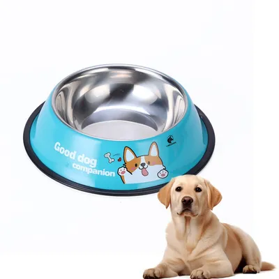 Pawzy cuenco para perros de acero inoxidable azul