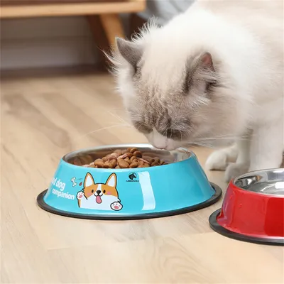 Pawzy Bol en acier inoxydable bleu pour chien