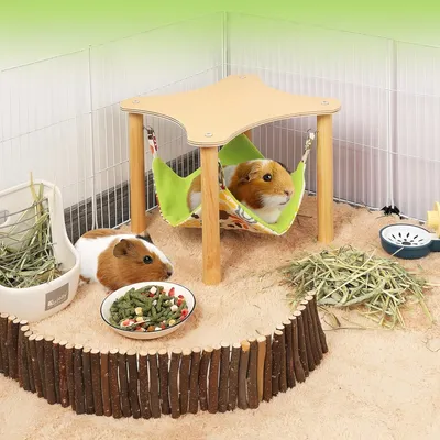 Pawzy Hamacs adaptés aux petits animaux domestiques