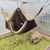 Pawzy Hamac pour petits animaux