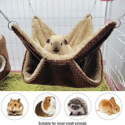 Pawzy Hamac pour petits animaux