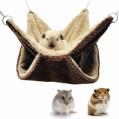 Pawzy Hamac pour petits animaux