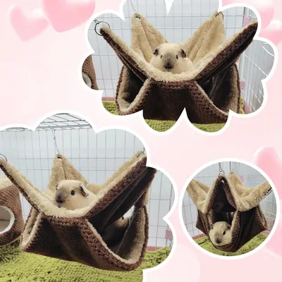 Pawzy Hamac pour petits animaux