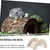 Pawzy Pont  en bois pour petits animaux