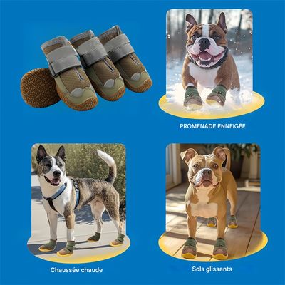 Pawzy Chaussures pour chien en maille respirante