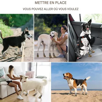 Pawzy Chaussures pour chien en maille respirante