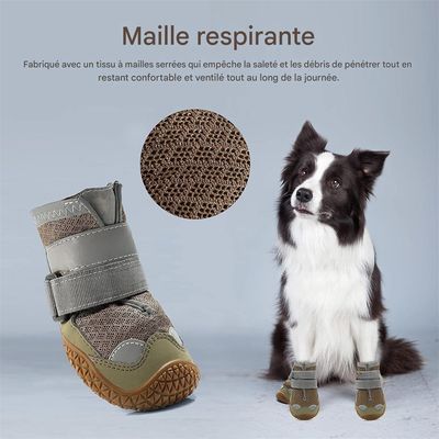Pawzy Chaussures pour chien en maille respirante