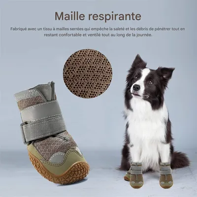 Pawzy Chaussures pour chien en maille respirante