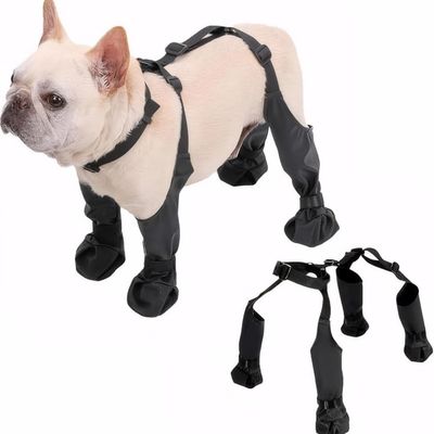 Pawzy Bottes pour chien