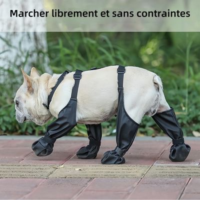 Pawzy Bottes pour chien