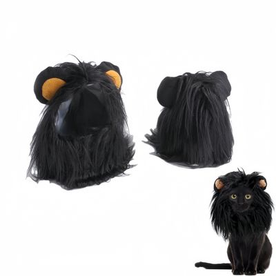 Pawzy Chapeaux et costumes d'Halloween pour les chats
