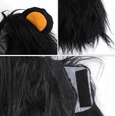 Pawzy Chapeaux et costumes d'Halloween pour les chats
