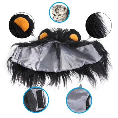 Pawzy Chapeaux et costumes d'Halloween pour les chats
