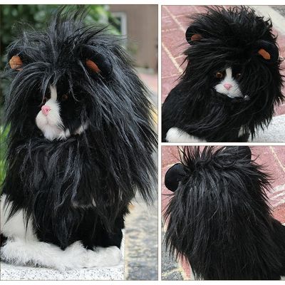 Pawzy Chapeaux et costumes d'Halloween pour les chats