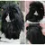 Pawzy Chapeaux et costumes d'Halloween pour les chats