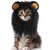 Pawzy Chapeaux et costumes d'Halloween pour les chats