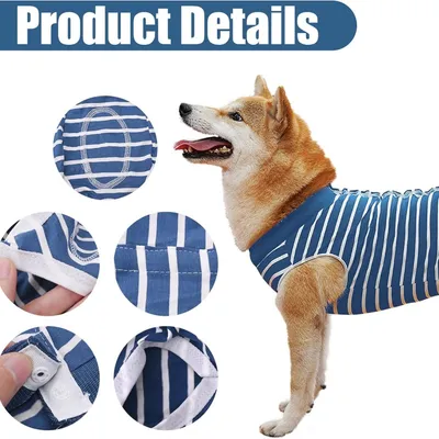 Pawzy Combinaison de récupération pour chien