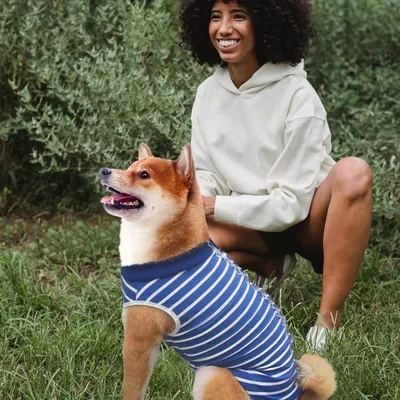 Pawzy Combinaison de récupération pour chien