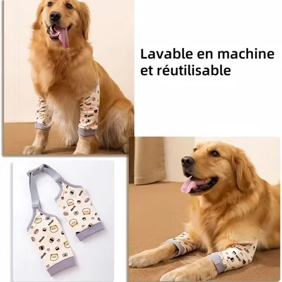 Pawzy Manchon de récupération pour attelle de patte avant de chien