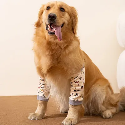 Pawzy Manchon de récupération pour attelle de patte avant de chien