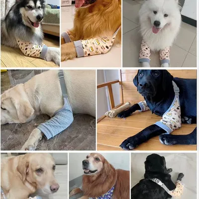 Pawzy Manchon de récupération pour attelle de patte avant de chien