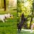 Pawzy Boule à corde jouet chien