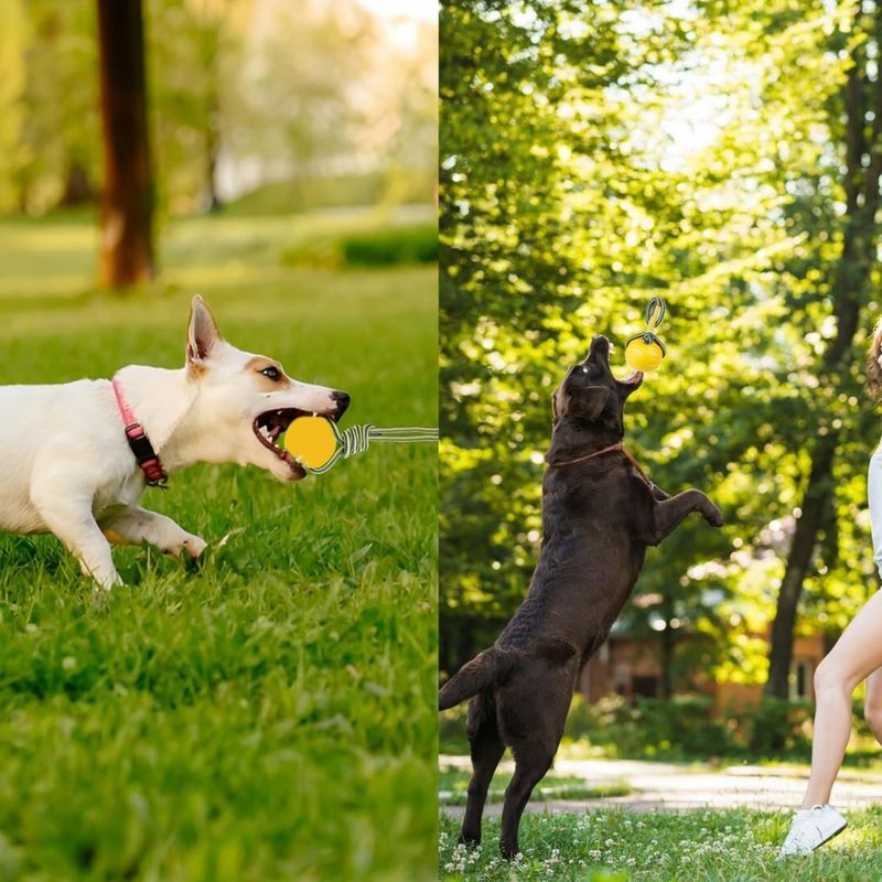 Pawzy Boule à corde jouet chien