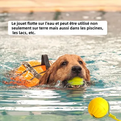 Pawzy Boule à corde jouet chien