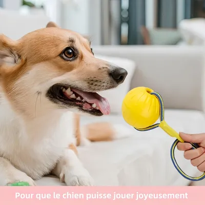 Pawzy Boule à corde jouet chien