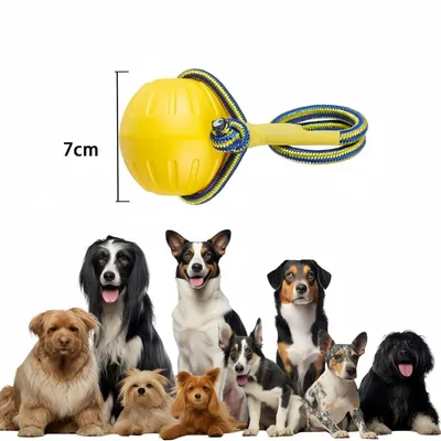 Pawzy Boule à corde jouet chien