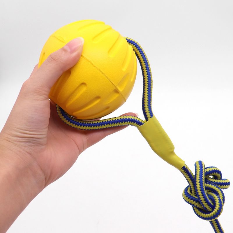 Pawzy Boule à corde jouet chien