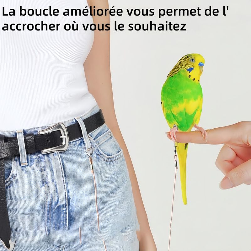 Pawzy Laisse de vol pour oiseau avec anneau de pied