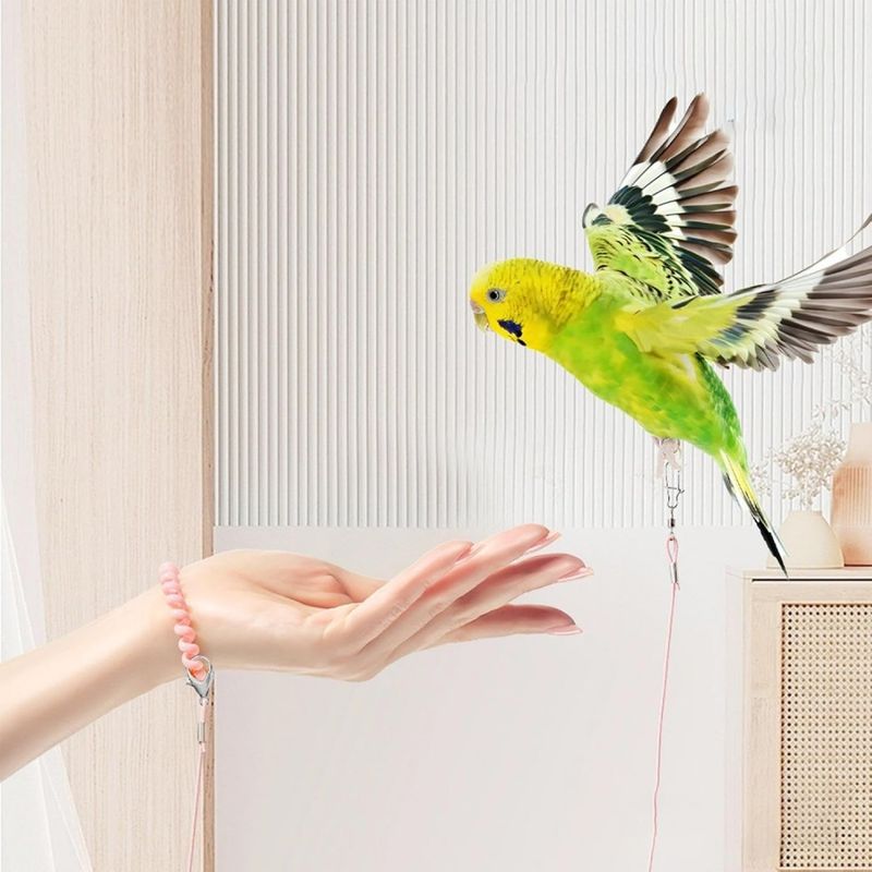 Pawzy Laisse de vol pour oiseau avec anneau de pied