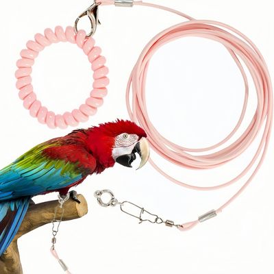 Pawzy Laisse de vol pour oiseau avec anneau de pied