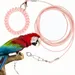 Pawzy Laisse de vol pour oiseau avec anneau de pied