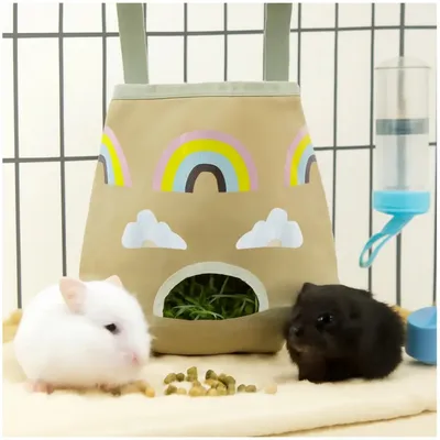 Pawzy Mangeoire à foin pour petits animaux