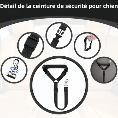 Pawzy Ceinture de sécurité pour animaux de compagnie