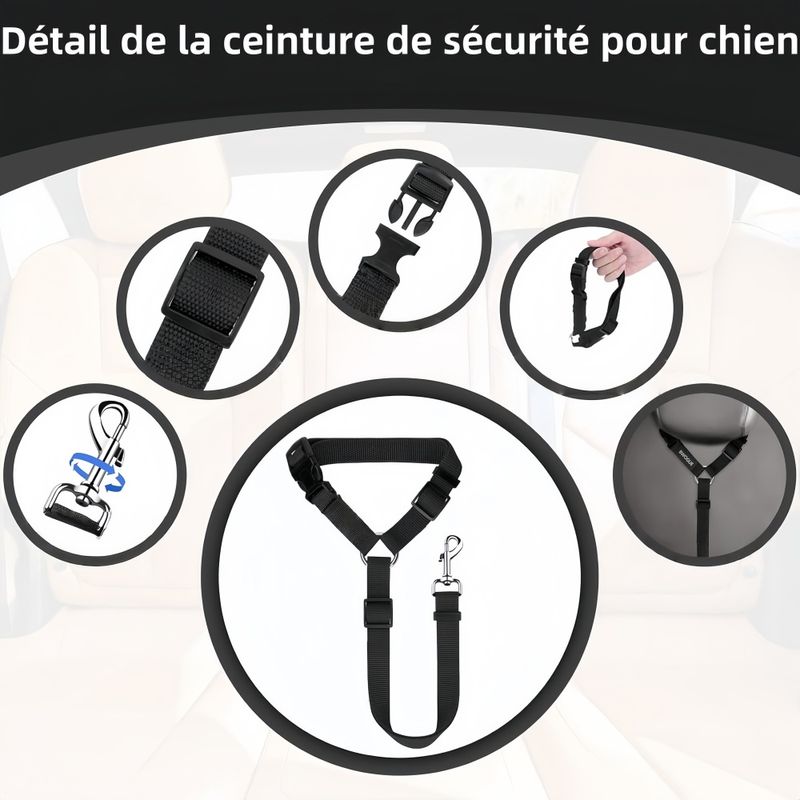 Pawzy Ceinture de sécurité pour animaux de compagnie