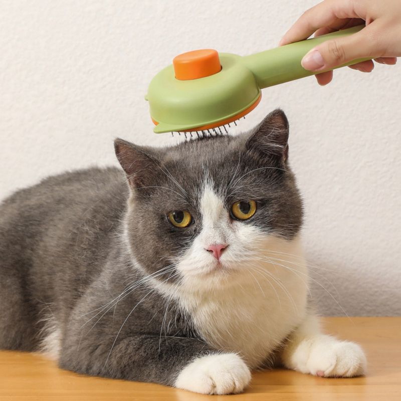 Pawzy  Professionnelle pour Chats & Chiens – Élimine les Poils en 1 Clic