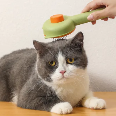 Pawzy  Professionnelle pour Chats & Chiens – Élimine les Poils en 1 Clic