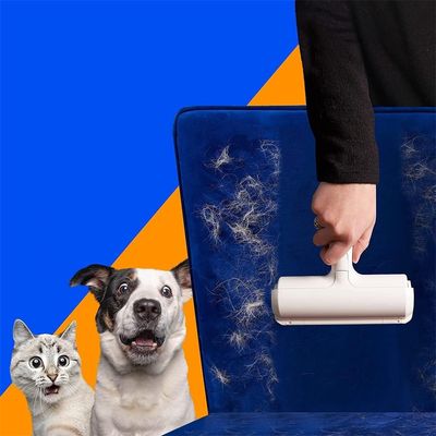Pawzy Outil à enlever les poils de chat