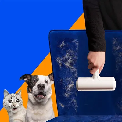Pawzy Outil à enlever les poils de chat