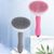 Pawzy Peigne pour poils d'animaux